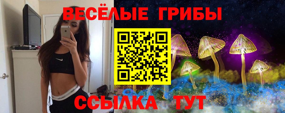 Псилоцибиновые грибы мухоморы Анапа